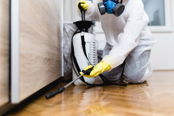 Best Pest Removal Services  in Cumberland, IN