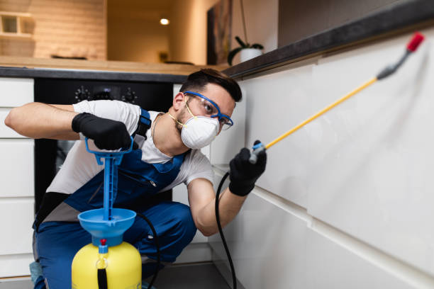 Best Rat Extermination Near Me  in Cumberland, IN