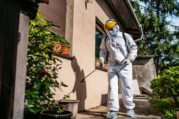 Best Pest Inspection Near Me  in Cumberland, IN