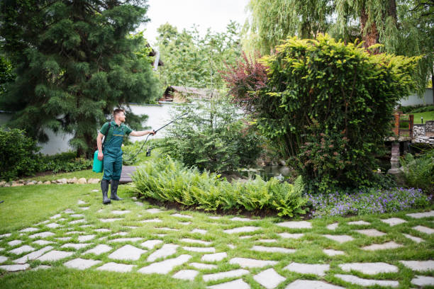 Best Wasp Removal Services  in Cumberland, IN
