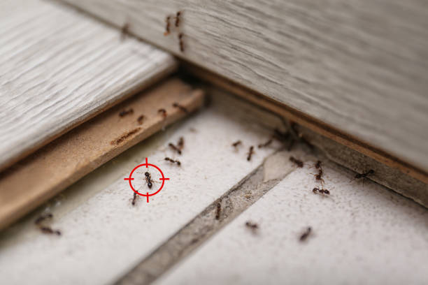 Best Wildlife Control Services  in Cumberland, IN