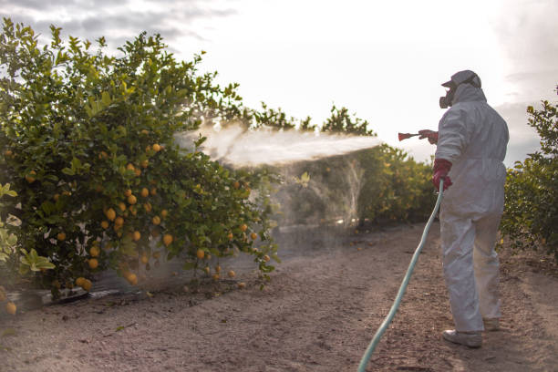Best Insect Control  in Cumberland, IN