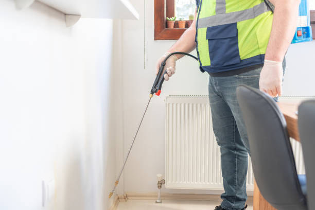 Best Local Pest Control Services  in Cumberland, IN