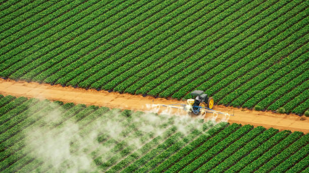 Best Affordable Exterminators  in Cumberland, IN