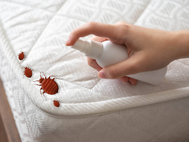 Best Cockroach Control Services  in Cumberland, IN