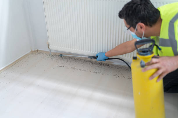 Professional Pest Control in Cumberland, IN