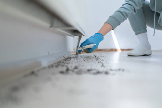 Best Pest Control for Homes  in Cumberland, IN